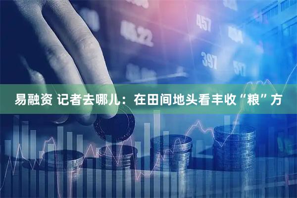 易融资 记者去哪儿：在田间地头看丰收“粮”方