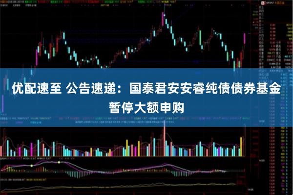 优配速至 公告速递：国泰君安安睿纯债债券基金暂停大额申购