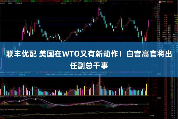 联丰优配 美国在WTO又有新动作！白宫高官将出任副总干事