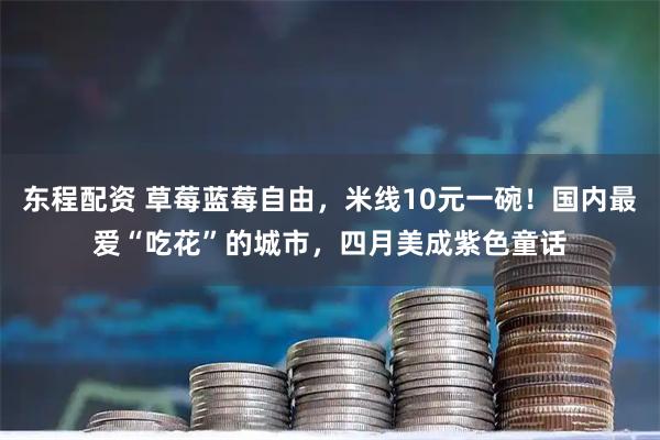 东程配资 草莓蓝莓自由，米线10元一碗！国内最爱“吃花”的城市，四月美成紫色童话